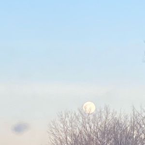 Meet your Posher, Rylee